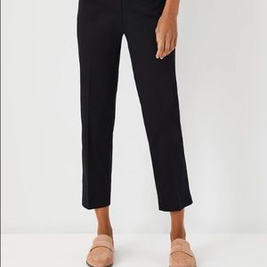 Ann Taylor Cotton Crops Curvy